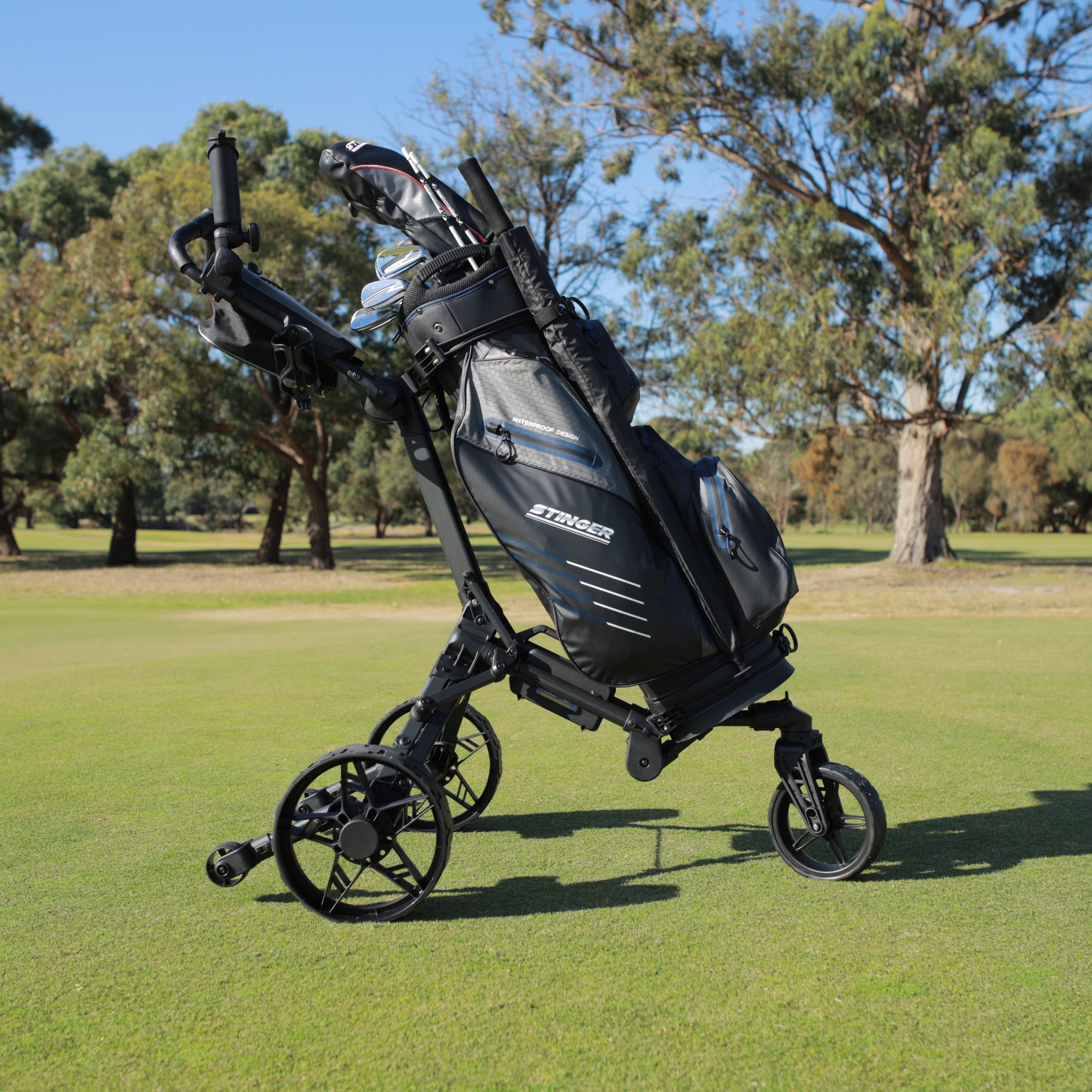 SG-4 Crossover Remote Control Electric Golf Buggy