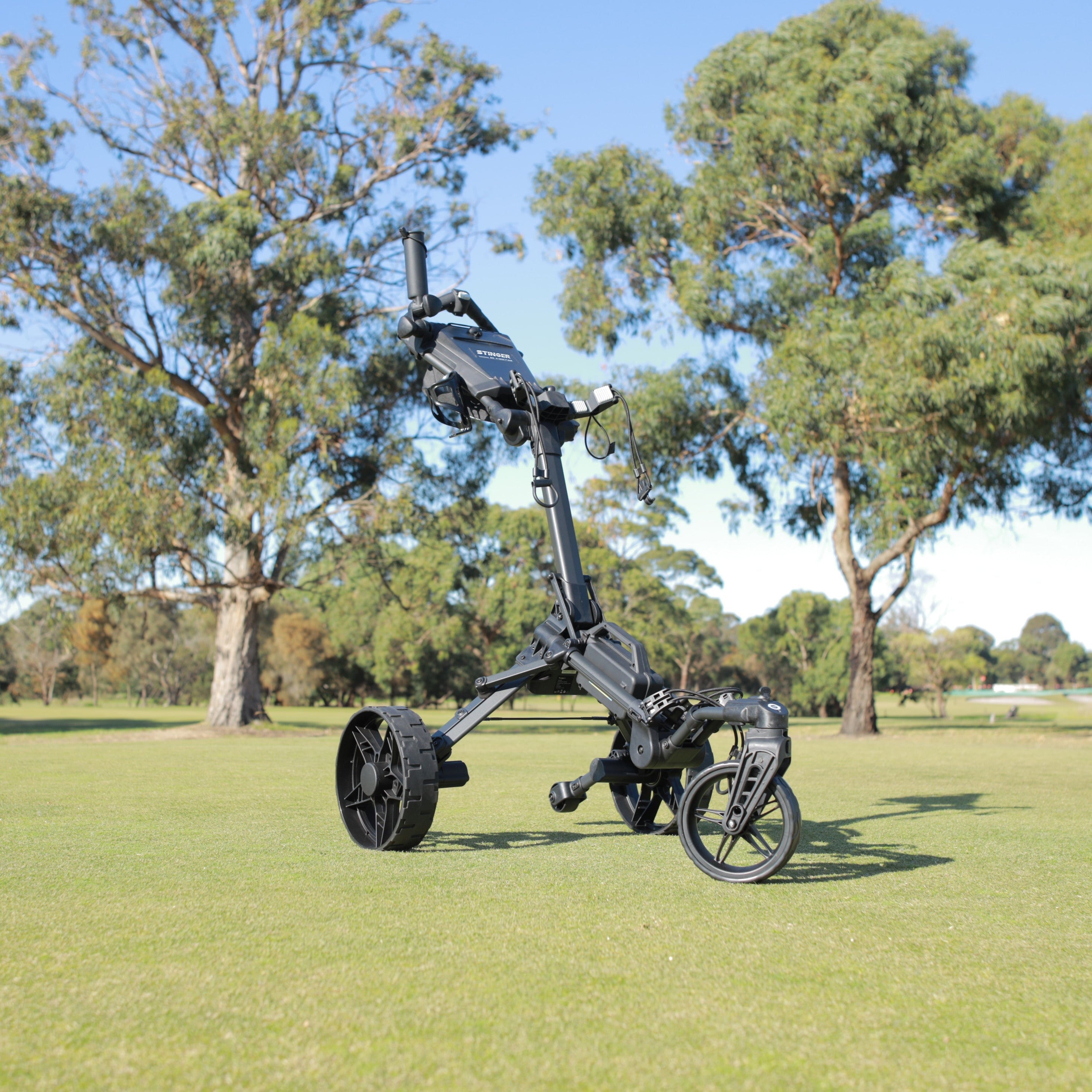 SG-4 Crossover Remote Control Electric Golf Buggy