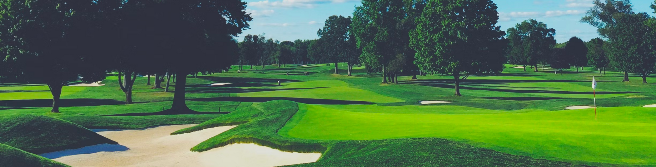 PowerBug Electric Golf Buggies Stinger Golf Products